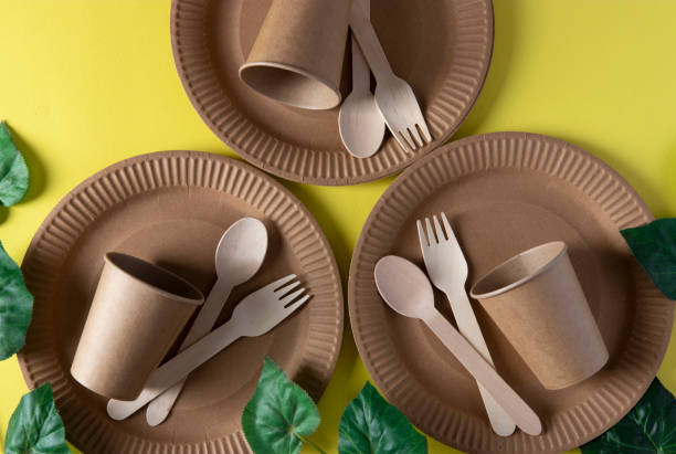 Wheat Straw vs Bamboo Plates